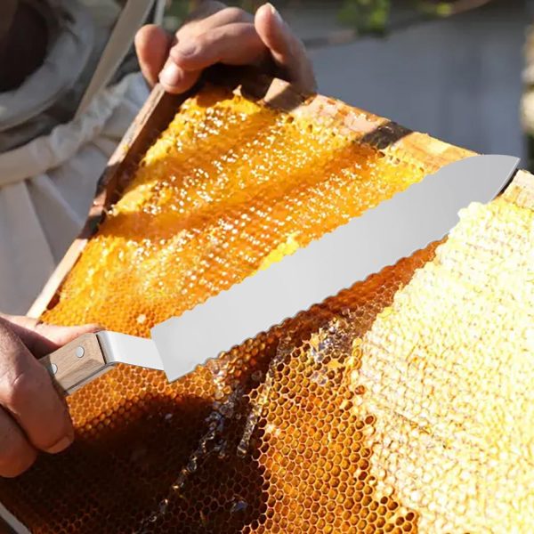 Flexzion Cold Honey Uncapping Tool - 11 Inch Serrated Uncapping Knife, Stainless Steel Honey Knife Uncapping with Ergonomic Wooden Handle, Non-Heated Honeycomb Scraper for Wax & Honey Extraction - Image 2