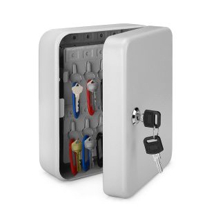 Flexzion Key Box Wall Mount With Code - 40 Capacity Key Box Organizer, Lock Box Key Holder, Secure & Durable Key Storage Box Cabinet with Colored Tags & Hooks for Homes & Business, Gray