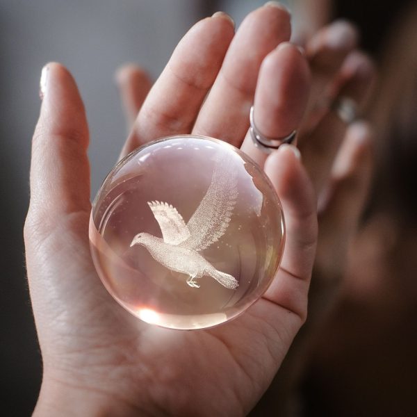 Flexzion 3D Bird Crystal Ball Night Light - LED Light Hologram Glass Lamp w/ Solid Wood Base, USB Powered Crystal Ball Lamp w/ Adjustable Brightness for Home Decor Display Gift, 3.15 inch (80mm) - Image 4