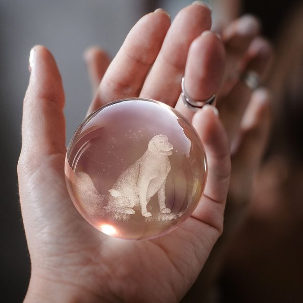 Flexzion 3D Dog Crystal Ball Night Light - LED Light Hologram Glass Lamp w/ Solid Wood Base, USB Powered Crystal Ball Lamp w/ Adjustable Brightness for Home Decor Display Gift, 3.15 inch (80mm) - Image 4
