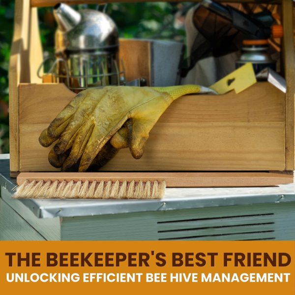 Flexzion Bee Brush Beekeeping Tool & Equipment with Natural Pig Bristles & Wooden Handle - Beekeeping Brush or Honey Bee Brush for Beekeeper, Essential Beehive Cleaning Tool for Gentle Bee Care - Image 2
