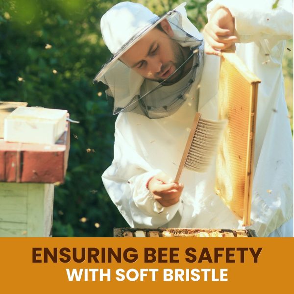 Flexzion Bee Brush Beekeeping Tool & Equipment with Natural Pig Bristles & Wooden Handle - Beekeeping Brush or Honey Bee Brush for Beekeeper, Essential Beehive Cleaning Tool for Gentle Bee Care - Image 3