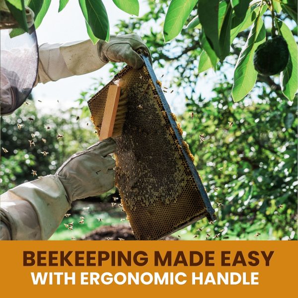 Flexzion Bee Brush Beekeeping Tool & Equipment with Natural Pig Bristles & Wooden Handle - Beekeeping Brush or Honey Bee Brush for Beekeeper, Essential Beehive Cleaning Tool for Gentle Bee Care - Image 4