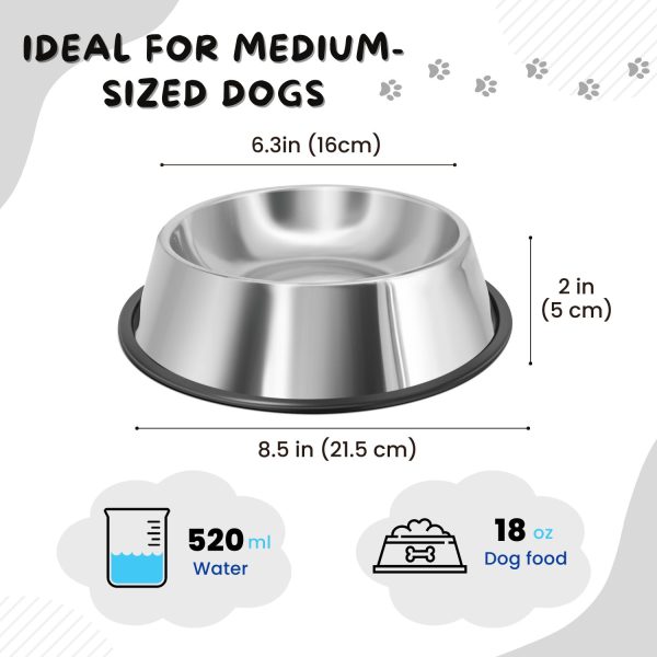 Flexzion Stainless Steel Dog Bowl No Mess Non Spill Dog Water Bowl Rubber Base Dog Bowls for Medium Sized Dog, Food and Water Dish, Pet Food Holder, 22 cm, 2 Pack - Image 5