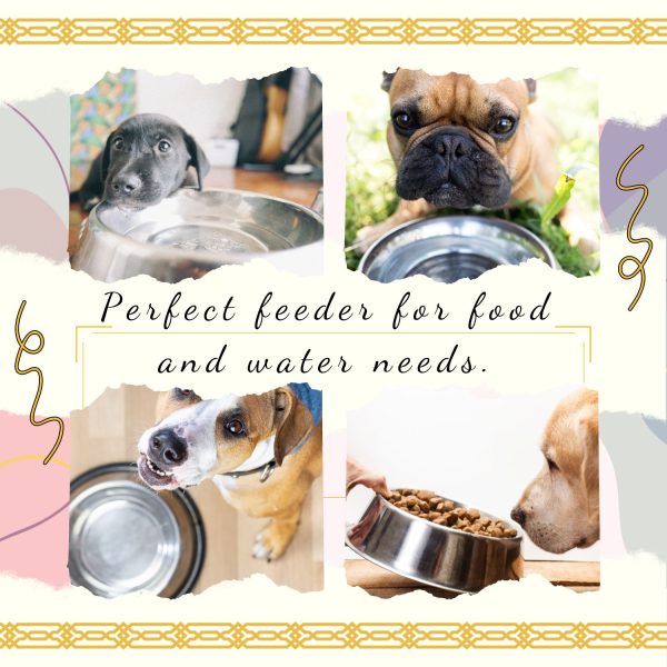 Flexzion Stainless Steel Dog Bowl No Mess Non Spill Dog Water Bowl Rubber Base Dog Bowls for Medium Sized Dog, Food and Water Dish, Pet Food Holder, 22 cm, 2 Pack - Image 6